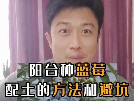 蓝莓种植方法配土被难到了,酸性土,啥意思,怎么得到,怎么用看了都明白了,不被忽悠不被坑#蓝莓盆栽 #蓝莓种植方法 #蓝莓种植技巧 #蓝莓配土 #蓝莓怎么种植盆栽