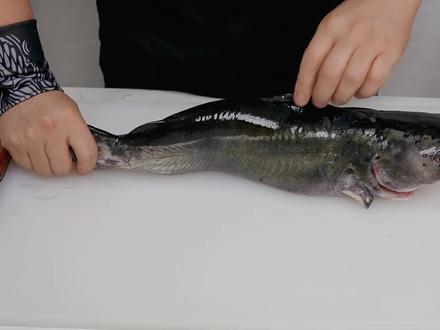 用鱼肉做面,还要在面里酿入鱿鱼丝,动画片里的面非面好吃么#抖音618好物节 #随星而定嗨购618 @渣渣灰