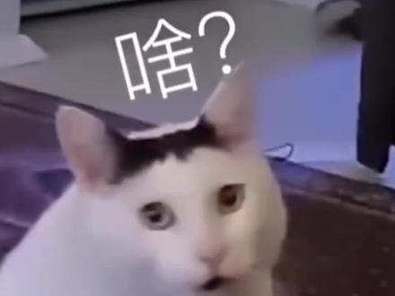 击破谣言!岳雨婷亮相巴黎时装周!短剧照进现实,妥妥的逆袭爽文大女主!#岳雨婷巴黎时装周 #岳雨婷晒纪梵希邀请函 #巴黎时装周 #短剧 #真诚才是必杀技