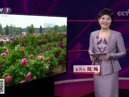 CCTV-7#科技苑#牡丹籽油#真国色#美食 #陆梅#中国林科院#α-亚麻酸#健脑益智#缓解抑郁#亚健康