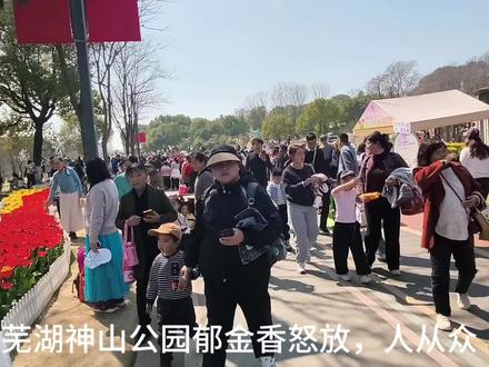 #神山公园赏花季# 人潮涌动,春日赏花正当时!2026年3月14日星期六,安徽芜湖神山公园郁金香花开,市民纷纷前来赏花。花美,人从众。#花海 #景区人山人海 #人山人海太热闹了