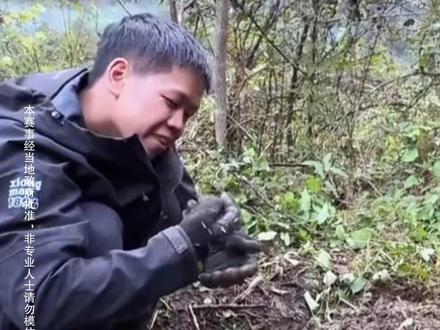 决赛第4天张老六取火失败,生吞蚯蚓补充蛋白质:再挖两天土,我就有力气了