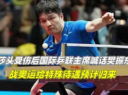 莎头受伤后,国际乒联主席喊话樊振东!战奥运给特殊待遇预计归来2/3#中国乒乓球 #WTT #樊振东