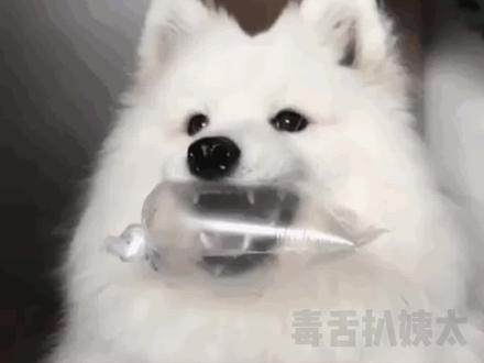 不知我这款82年的可乐 是否能赢得你的芳心呢?#娱乐评论大赏