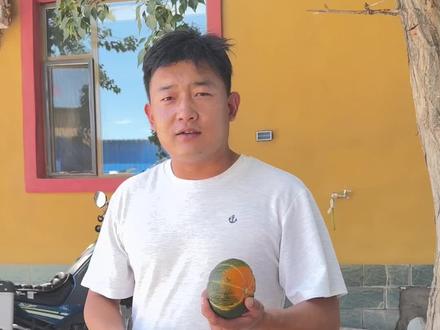 内蒙的贝贝南瓜种子大家可以留一下