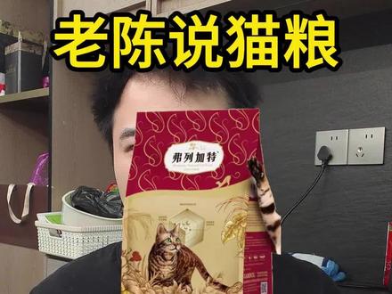 弗列加特80高鲜肉猫粮测评,弗列加特猫粮测评!#弗列加特鲜肉粮 #弗列加特 #猫粮推荐 #猫粮 #新手养猫