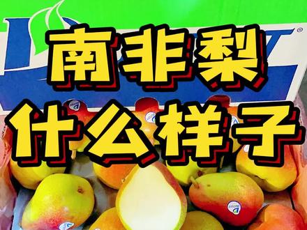 猎奇!给大家看一下南非的彩啤梨是什么样子#啤梨 #南非水果 #高端水果 #进口水果