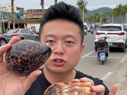 在菜场无意发现国家二级保护动物,四大名螺之一的唐冠螺和虎斑宝贝黑星宝螺,解救行动现在开始!#海洋 #海鲜 #螺 #保护动物