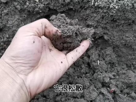 蚯蚓粪不是简单的畜禽粪便,想了解吗?