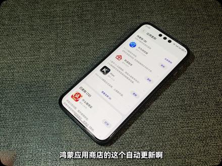 鸿蒙应用自动更新关闭后失效的问题 无痛更新是爽,但更想看着它一步一步成长起来~
#华为Mate80 #鸿蒙6 #HarmonyOS6 #玩机技巧