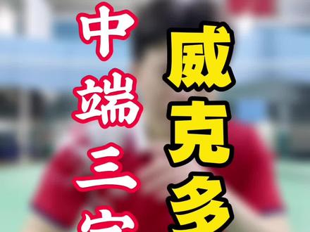 预算有限,新手推荐。td是减配版的意思!#羽毛球