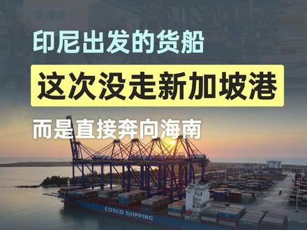出发的货轮,没有驶向新加坡港。 #贸易 #外贸 #港口码头 #国际物流 #海南 @外贸物流小管家
