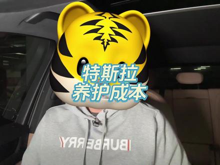 特斯拉养护成本 #特斯拉