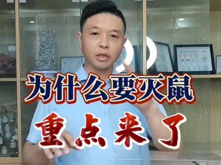 灭鼠的重要性 鼠患不除,暗藏汉坦病毒如何防控?#汉坦病毒 #消杀技术培训 #消杀培训 #病虫害防治