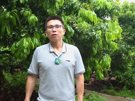 第325期#农技乡村行有我轻骑兵 荔枝果期巧用生长调节剂减少落果 来源@莞邑农业#荔枝#种植技术#三农#农业