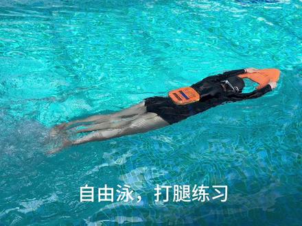 自由泳打腿来啦,你的自由泳打腿是不是又累又不往前呢?有的时候还往后倒??来看看正确动作吧#自由泳练习 #自由泳 #自由泳打腿