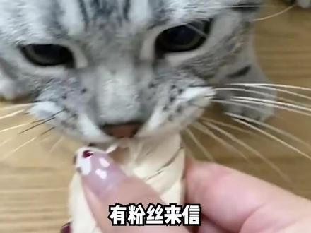 猫咪护食怎么办!
#猫 #猫咪 #科学养宠攻略 #新手养猫 #铲屎官 #萌宠 #宠物