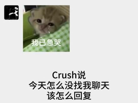Crush说今天怎么没找我聊天该怎么回复 #聊天记录 #crush聊天记录 #crush降临 #聊天技巧 #脱单技巧