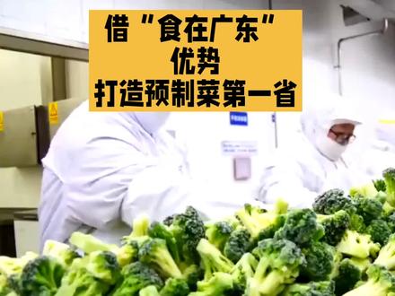 借“食在广东”优势,打造预制菜第一省
#广东打造预制菜第一省