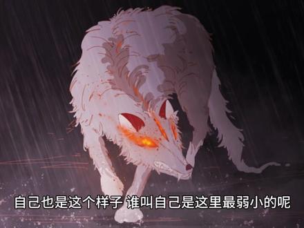 魔兽剑圣异界纵横-第一章 初临异世