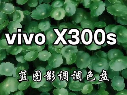 vivo X300s的调色盘可以自制滤镜,还是很好用的#vivox300s #手机摄影 #滤镜调色教程 #调色参数