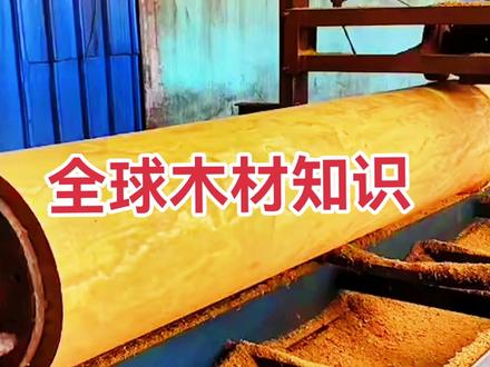 #创作灵感 全球进口木材品种我知道一些,大家了解的木头可以一起探讨#海南黄花梨#小叶紫檀#进口木材@企业号小助