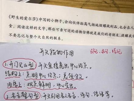 议论文阅读理解—段落的作用#知识点总结 #每日知识分享 #初中语文 #中考语文#语文阅读理解