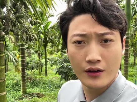 大家不要着急呀,摘果师傅,马上和大家见面#摘果师傅 #天朝哥