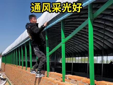 新型养殖大棚安装视频教程,适合全国各地区使用,冬暖夏凉,结实耐用,包工包料,全国上门安装搭建!#养殖大棚搭建
