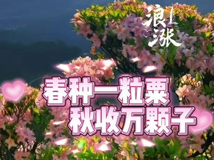 今天是2026年2月4日 立春
春种一粒粟 秋收万颗子
立春这样做 旺自己一整年
快和家人朋友一起迎接好运!