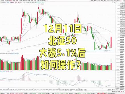 12月11日北证50大涨5.1%后如何操作?
