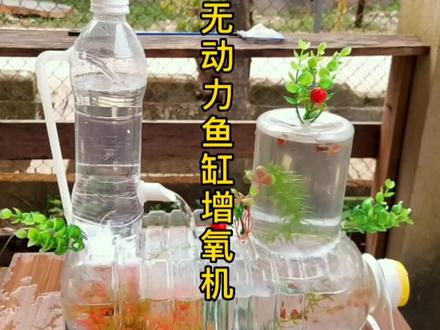 不用电,不用油制作持续循环鱼缸增氧机!#手工 #创意 #废物利用 #热门小助手