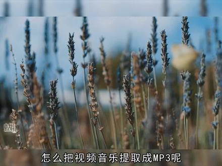 怎么把视频音乐提取成mp3 怎么把视频音乐提取成mp3呢?这一节教大家一键搞定!首先在电脑上打开影忆,将视频素材拖曳进来,可以在上面的视频列表,或者下面的“已添加片段”栏目,选中视频,按鼠标右键,在弹出的菜单中,选择“提取音频为mp3”即可。如果你是需要将视频中的某一段音频提取出来,那也很简单。我们可以点击进度条下方的箭头,或者按Ctrl+E,软件会弹出创新式时间轴,移动滑块到要提取音乐的时间点附近,可以放大时间轴,逐帧选取时间点,点击超级剪刀图标,一键分割视频。我们将视频分割出来以后,同样右键选择“提取音频为mp3”即可。#视频转音频 #剪辑教程
