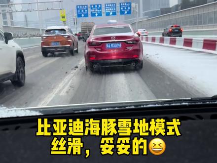 比亚迪海豚雪地模式替大家试过了,丝滑nice#湖北下雪 #比亚迪 #海豚 #雪地模式终于用上了 @抖音小助手