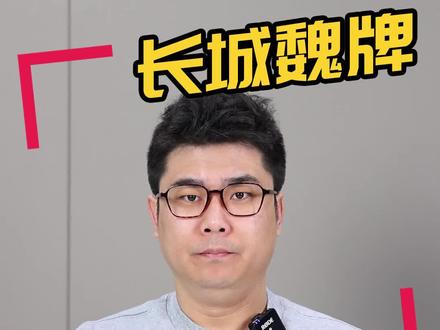 #魏牌 新能源转型 #0焦虑智能电动 我看好 #汽车 #汽车人共创计划