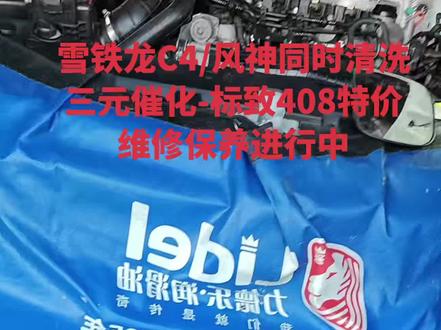 #标致#雪铁龙#十堰龙跃汽修法系专修分享拆卸浸泡清洗三元催化#