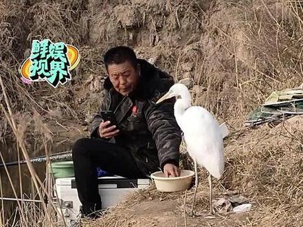 懂事的鸟儿有鱼吃!!#钓鱼 #鸟儿 #白鹭