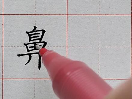 常用硬笔规范字书写讲解:鼻