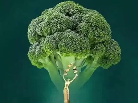 做ppt时常借鉴电影海报 但有些海报无法承受 #电影 #海报设计 #电影海报 #北京国际电影节