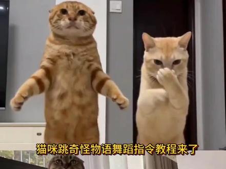 猫咪跳奇怪物语舞蹈指令教程来了 #小云雀AI #小云雀爆款马上成片 #怪奇物语舞蹈 #猫咪的迷惑行为 #猫咪跳舞