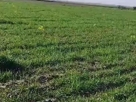 战事激烈,#美伊冲突现场画面(来源:中国军号;编辑:何俊标)#新闻#现场实拍