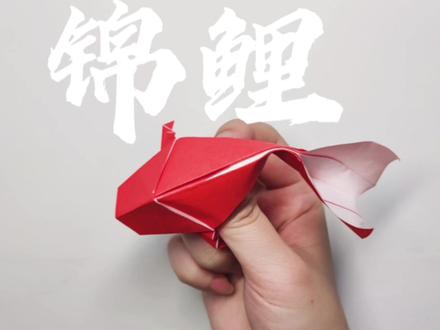 高考锦鲤!祝各位参加高考的同学,逢考必过,考的都会蒙的都对!#折纸 #折纸教程 #高考加油