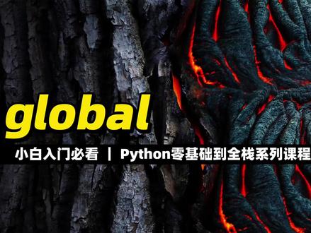 global #Python #编程入门 #程序员 #全栈