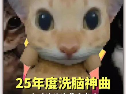 25年年度洗脑神曲排行榜,全听过的你网瘾很大了!#音乐 #瓦瓦 #挖你的鼻孔喵喵 #库里之歌 #梗