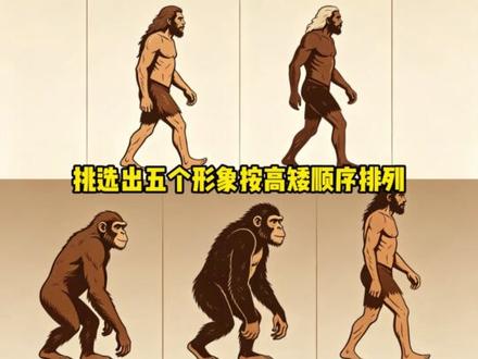 你被人类进化图骗了多久?#人类进化 #进化图 #科普 #万万没想到