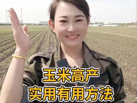 玉米高产,实用有用方法#抖音助农 #农业 #三农