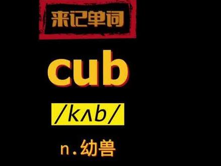 cub是什么意思 怎么读 #背单词