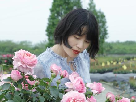 “舍农索城堡的女人们”有货啦 花朵又大又香,轻松开出一面花墙#惠惠的花园店庆#爱生活爱养花@DOU+上热门