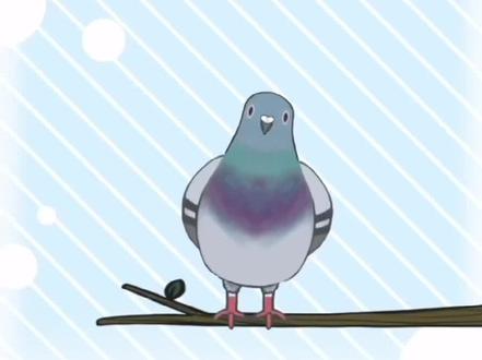 为什么左脸比右脸好看?#知识科普 #科普 #生活小百科 #科普一下 #每天学习一点点