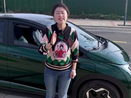 怎样买比亚迪海豚最省钱如何快速提车,宝妈分享经验帮你不踩坑! #带你懂车 #买车那点事儿 #新能源 #国产车